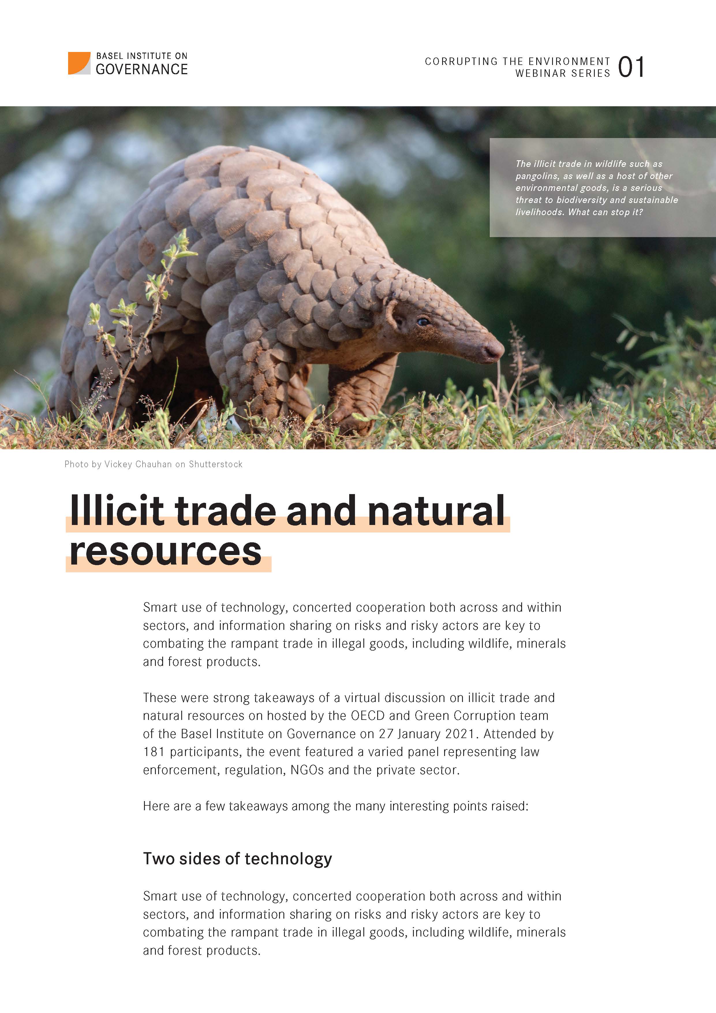 Cover page of Corrupting the Environment webinar series