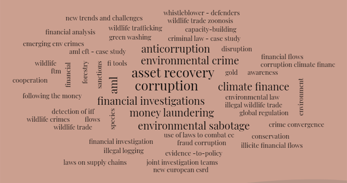 Follow-the-money working group topics
