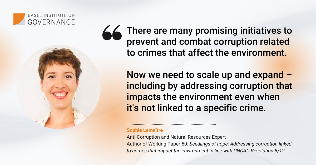 Quote by Sophie Lemaitre on Working Paper 50