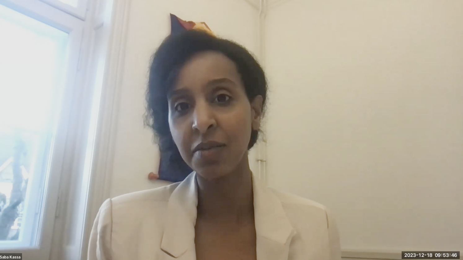 Saba Kassa speaking on TNRC webinar