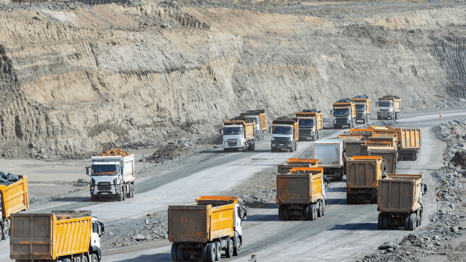 OECD Minerals 