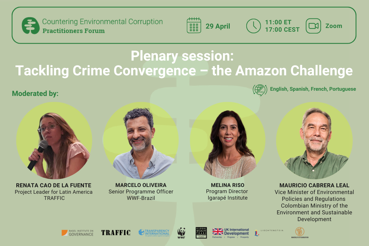 29 April 2025 plenary session of the Countering Environmental Corruption Practitioners Forum