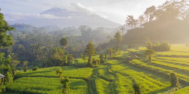 Mount Agung in the sunrise, Sidemen, Bali, Indonesia – just one of many stunning landscapes in the archipelago. Photo by Geio Tischler on Unsplash