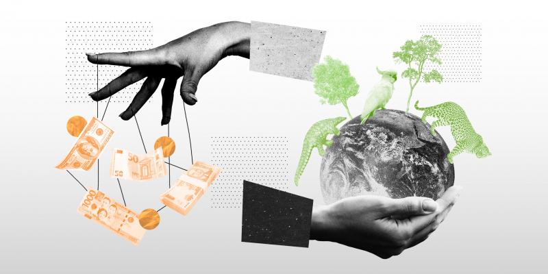 Green Corruption